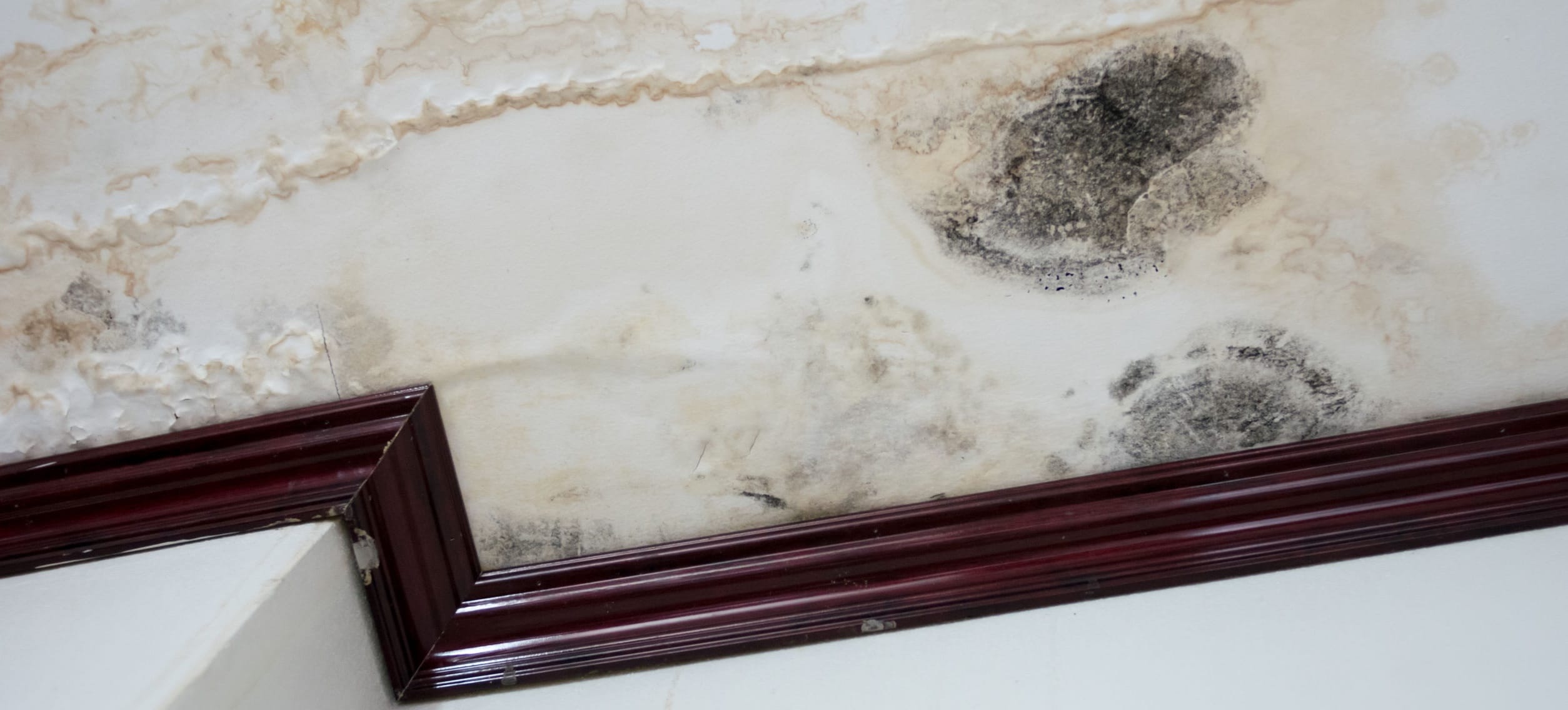Damage caused by water leakage on a wall and ceiling
