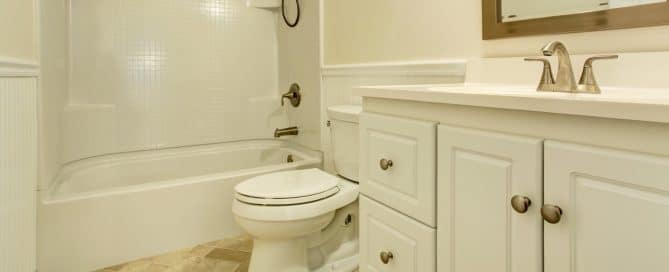 Shower toilet and sink in a residential bathroom