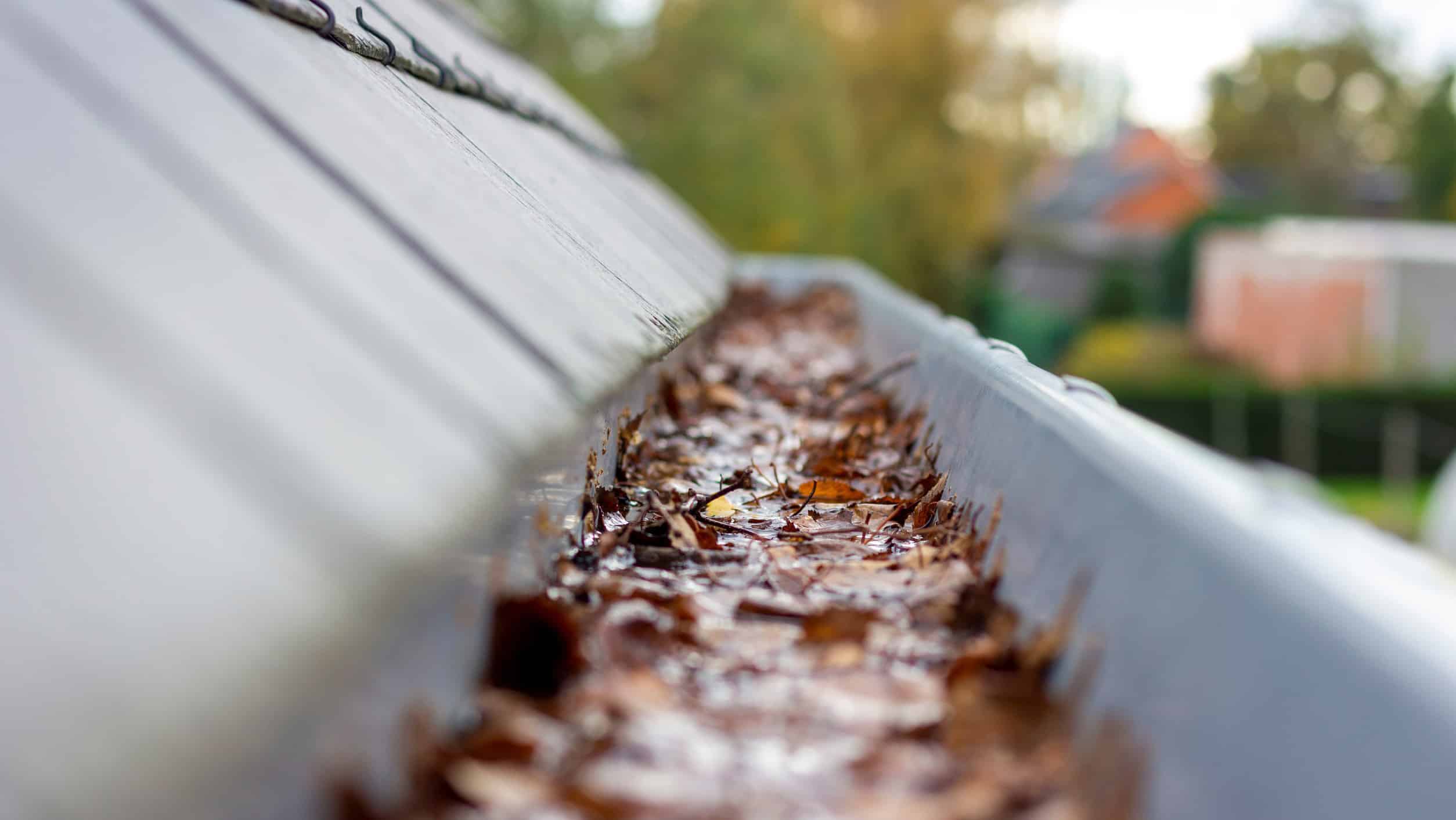 Rain falling into a clogged gutter