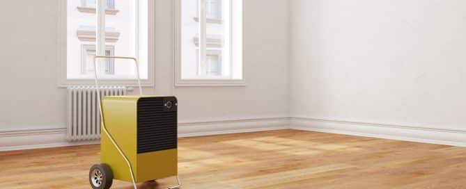 Dehumidifier in the living room of an apartment
