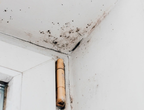Don’t Wait and Wonder: Know If You Have Hidden Water Damage