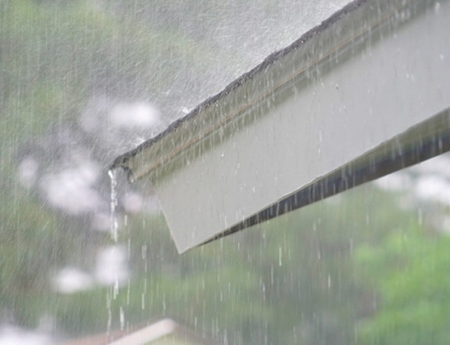 Is Your Property Ready for Spring Water Damage Risks?