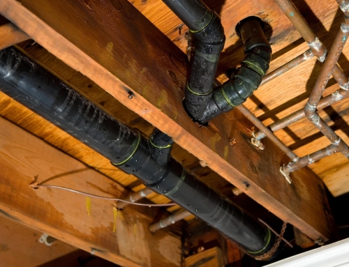 What To Do Immediately After Water Damage To Protect Your Property