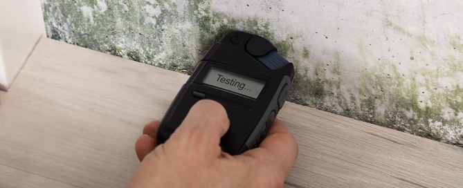 Water damage specialist testing a wall with a moisture meter