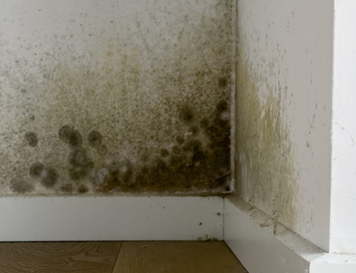 Small Water Problems Can Become Expensive Damage Fast